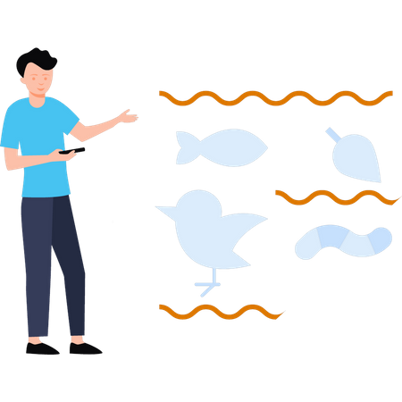Der Junge schaut sich die Meerestiere an  Illustration