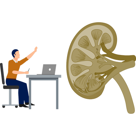 Der Mann arbeitet an Nierenerkrankungen  Illustration