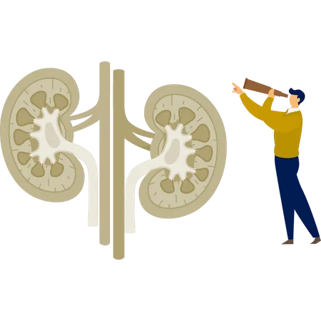 Der Mann schaut durch ein Fernglas auf das menschliche Harnsystem  Illustration