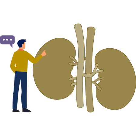 Der Mann spricht über Niere eitel  Illustration