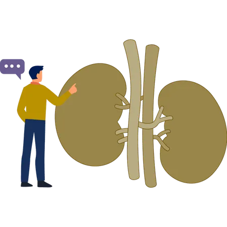 Der Mann spricht über Niere eitel  Illustration