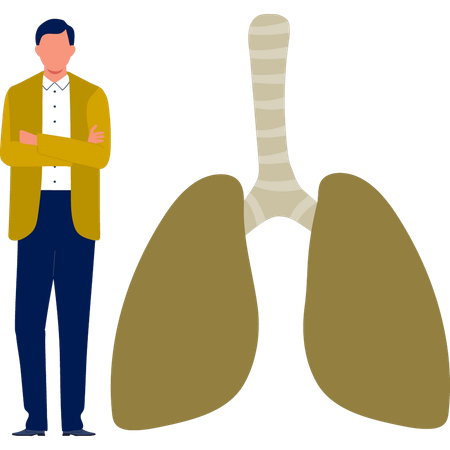 Der Mann steht in der Nähe des menschlichen Harnsystems  Illustration