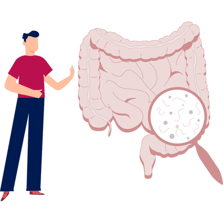 Mann erklärt Verdauungssystem  Illustration