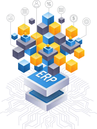 Desenvolvedor de negócios de rede ERP  Illustration