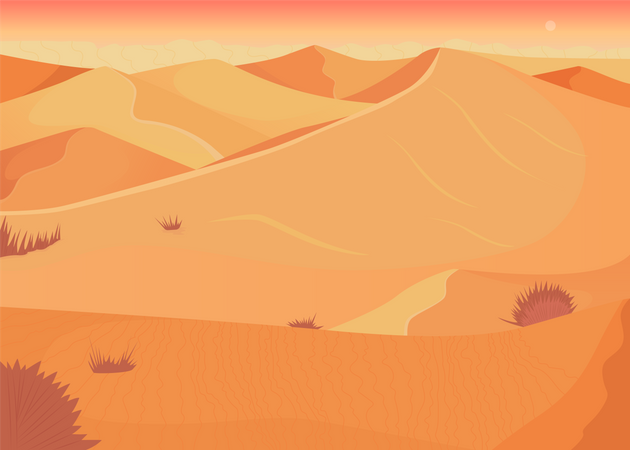 Coucher de soleil dans le désert  Illustration