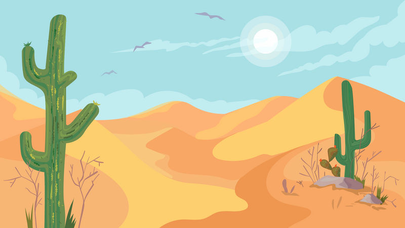 Desert  Illustration