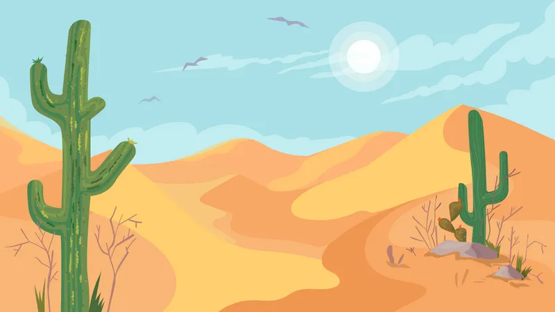 Desert  Illustration