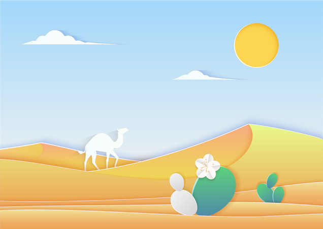 Desert  Illustration