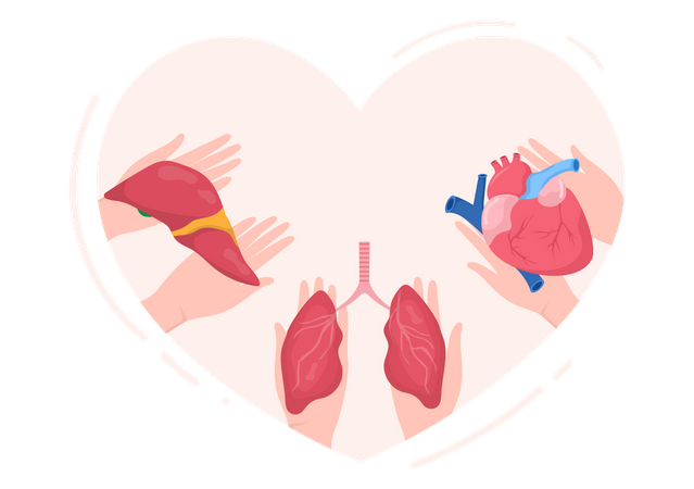 Día Mundial de la Donación de Órganos  Ilustración
