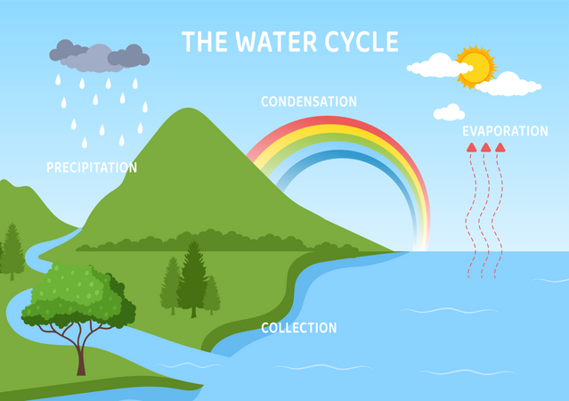 Diagramme du cycle de l'eau  Illustration