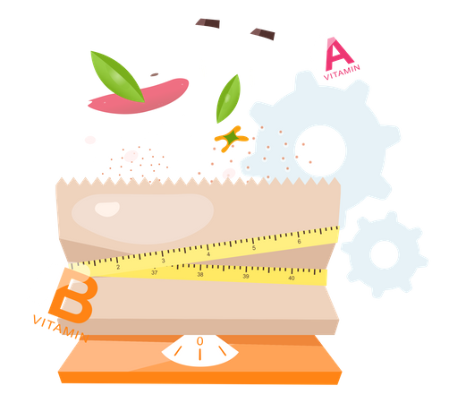 Diet Meal According To Calories  Illustration