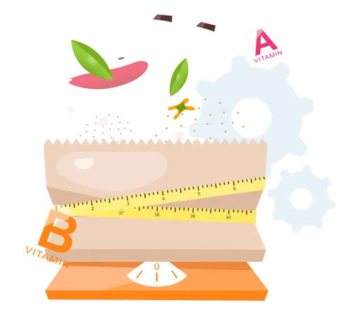 Diet Meal According To Calories  Illustration