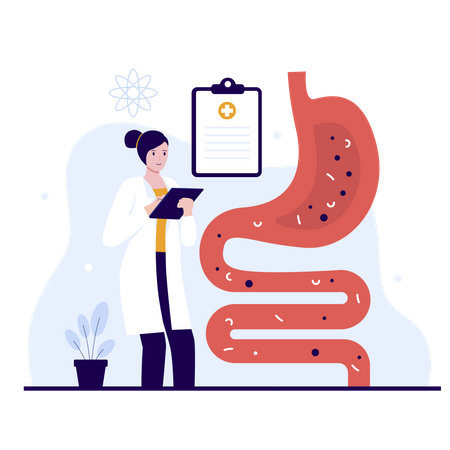 Digestive system  Illustration