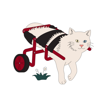 Disabled cat walking with support of wheelchair  Illustration