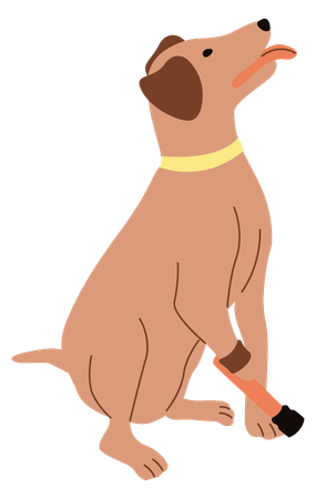 Disabled dog with leg prosthesis  Illustration