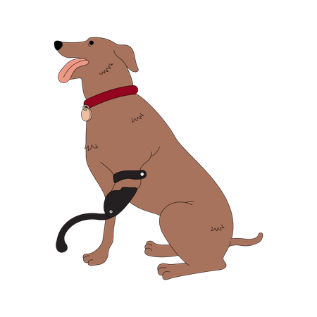 Disabled dog with leg prothesis Illustration