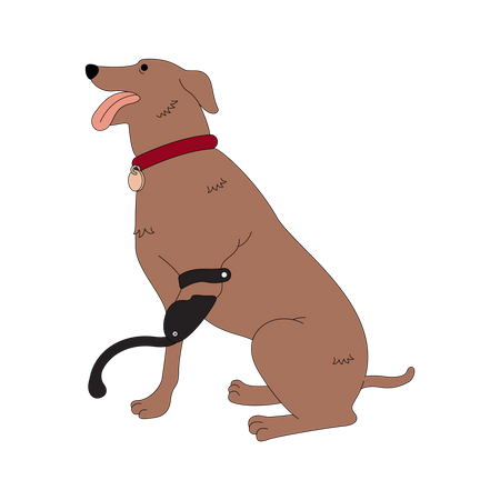 Disabled dog with leg prothesis  Illustration