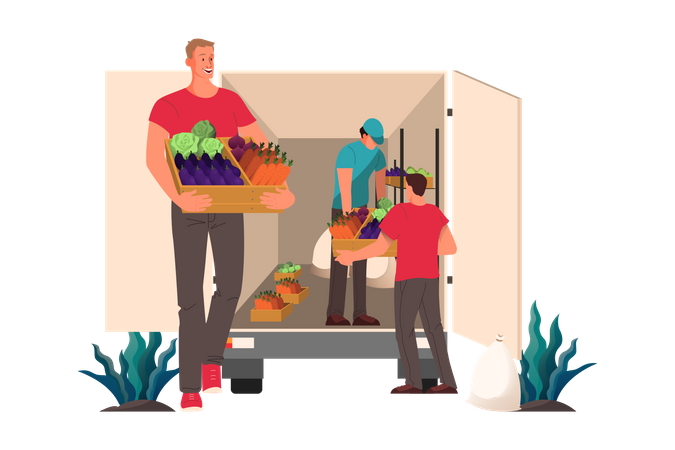 Distribuição de legumes frescos e mercearia para restaurante e café.  Ilustração