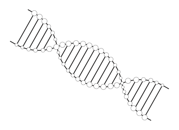 DNA helix  Illustration