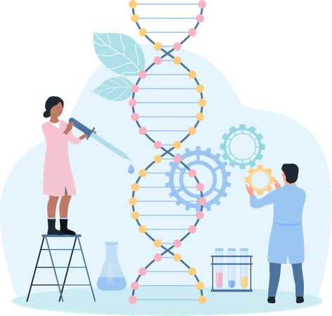 DNA Report  Illustration