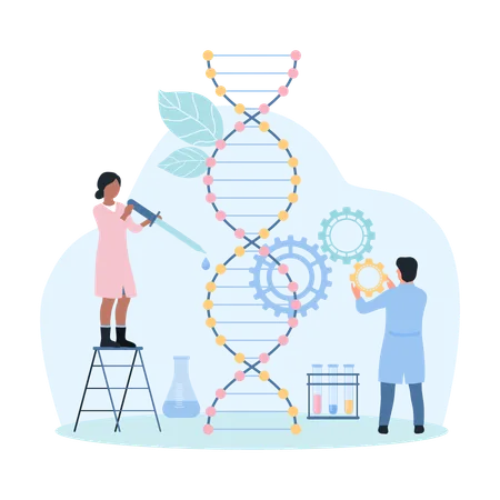 DNA Research In Medical Laboratory Inheritance And Genetic Scientific Projects Vector Illustration Cartoon Tiny Scientists Holding Pipette With Sample To Study Gene Helix Of DNA Molecule And Gears Illustration