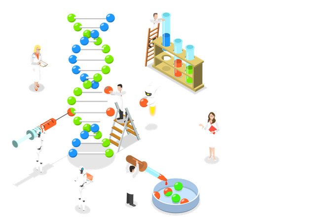 DNA structure  Illustration