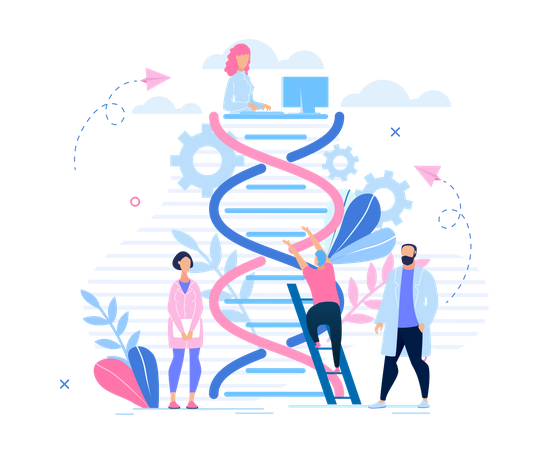 DNA Structure  Illustration