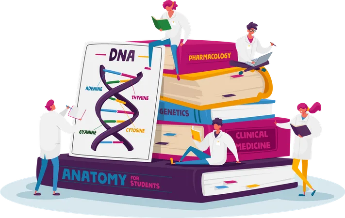 Dna Structure Study  Illustration