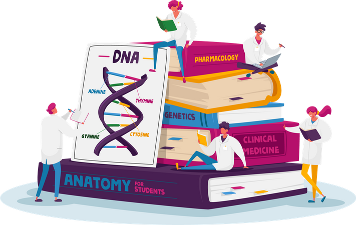 Untersuchung der DNA-Struktur  Illustration