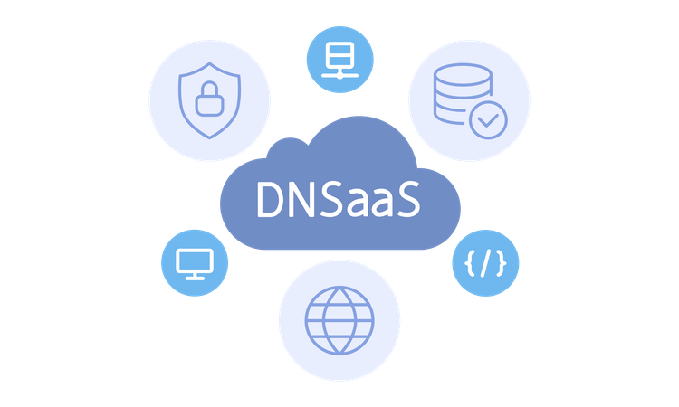 DNSaaS  Illustration