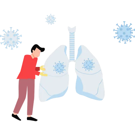 Doctor checking for any lung infection  Illustration