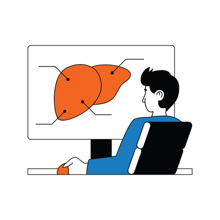 Doctor checking liver  Illustration