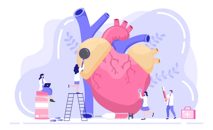 Doctor diagnosis heart disease  Illustration