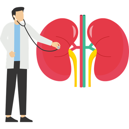 Doctor doing kidney treatment  Illustration