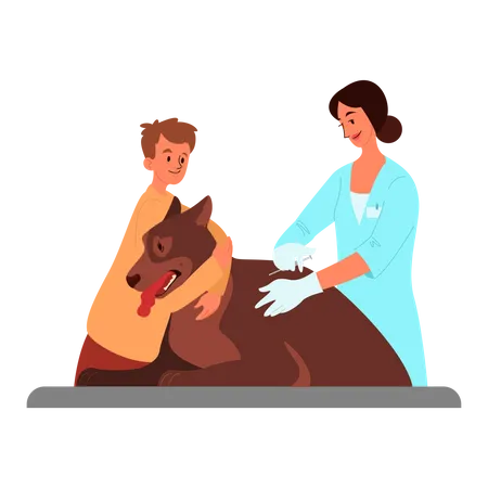 Doctor doing pet vaccination  Illustration