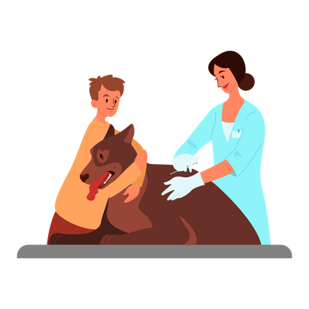 Doctor doing pet vaccination  Illustration