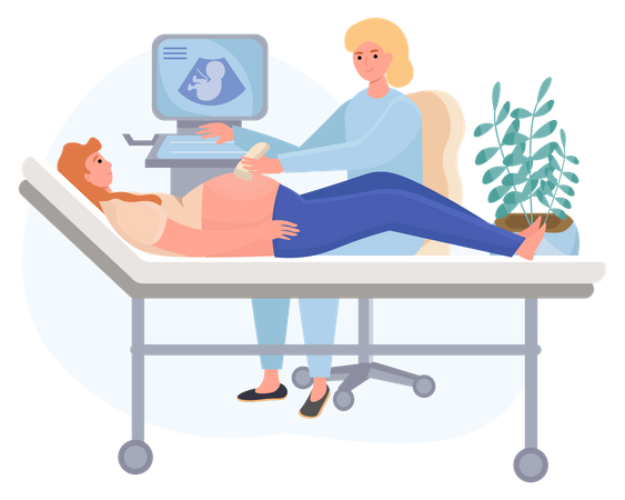 Doctor doing pregnancy ultrasound examination Illustration
