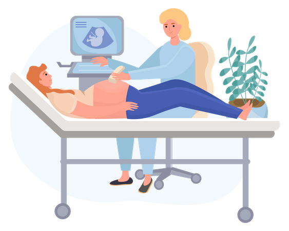 Doctor doing pregnancy ultrasound examination  Illustration