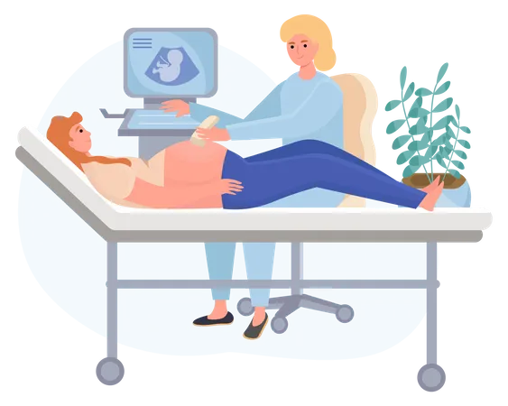 Doctor doing pregnancy ultrasound examination  Illustration