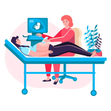 Doctor doing pregnancy ultrasound examination  Illustration