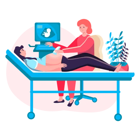 Doctor doing pregnancy ultrasound examination  Illustration