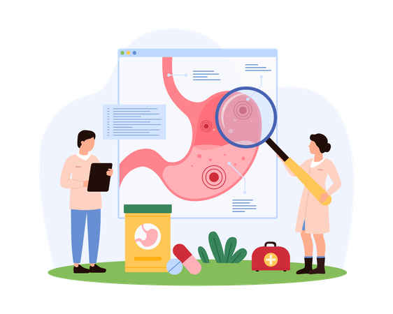 Doctor doing stomach analysis  Illustration