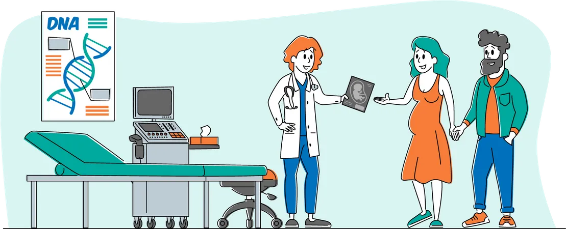 Doctor Doing Ultrasound Screening Checkup in Clinic  Illustration