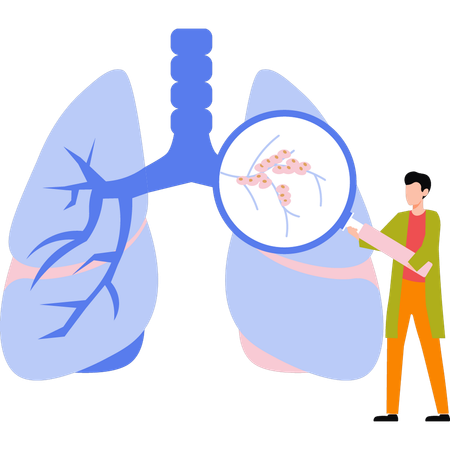 El doctor está examinando los pulmones.  Ilustración