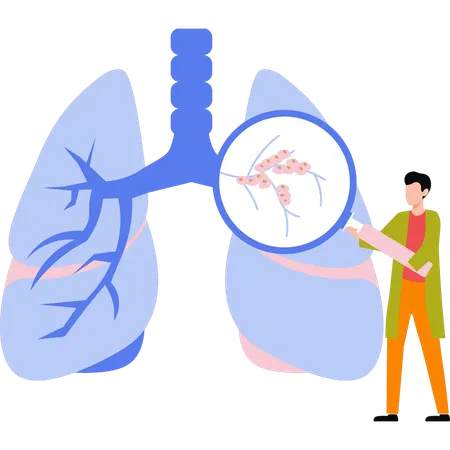 El doctor está examinando los pulmones.  Ilustración