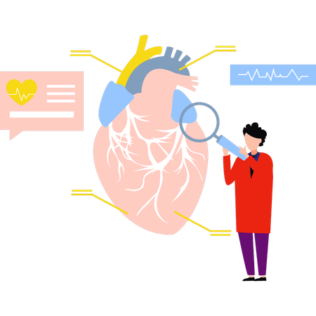 El doctor está investigando el corazón.  Ilustración