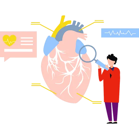 El doctor está investigando el corazón.  Ilustración