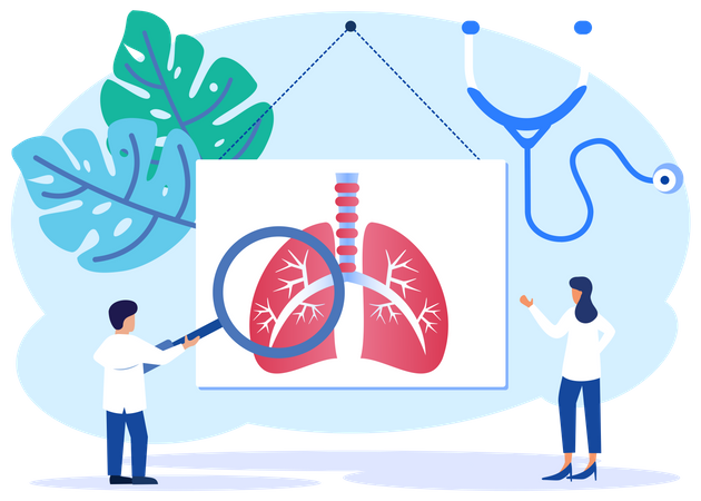 Doctor Examine Lung  Illustration