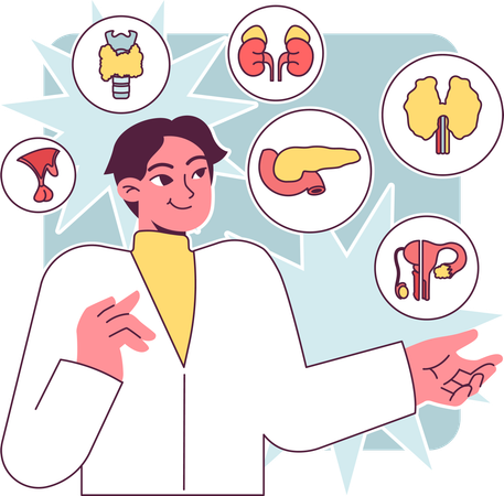 Doctor explaining Endocrine system organs  Illustration