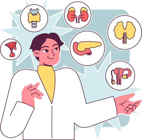 Doctor explaining Endocrine system organs  Illustration